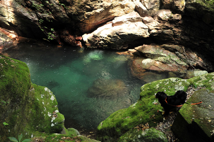 b0075541_14111218.jpg