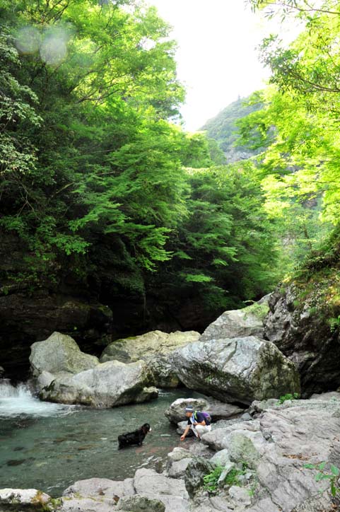 b0075541_14143436.jpg