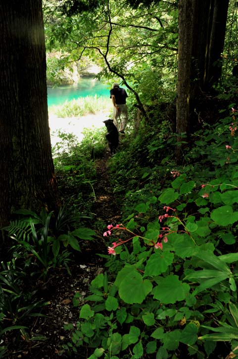 b0075541_141627100.jpg