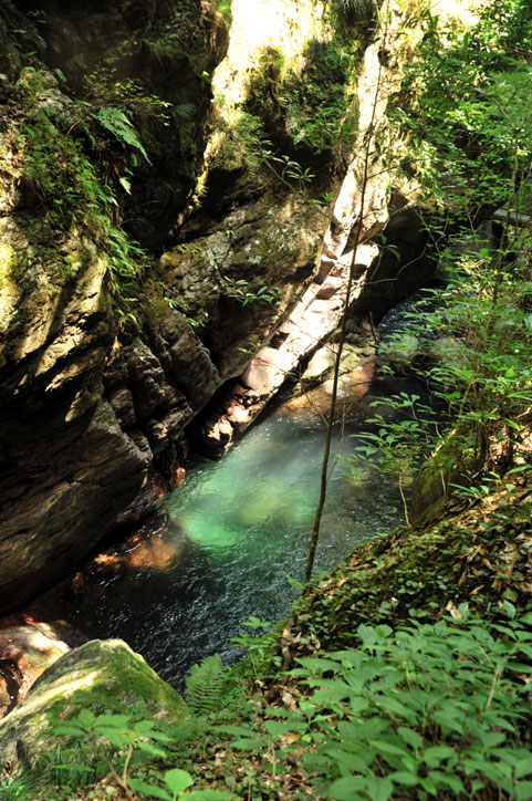 b0075541_146084.jpg