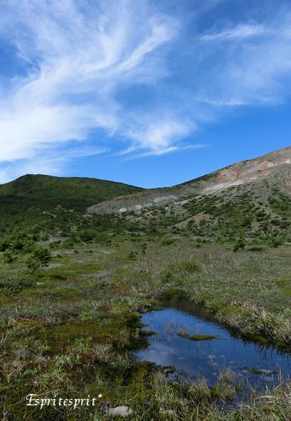 f0142141_758648.jpg