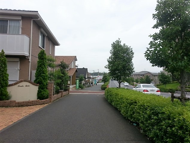 c0071545_22422783.jpg