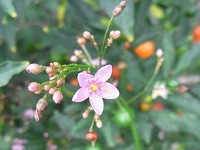 b0289649_11105956.jpg