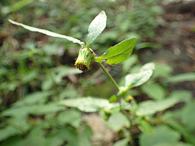 f0214649_436713.jpg