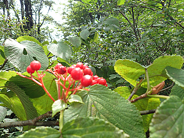 f0214649_502023.jpg