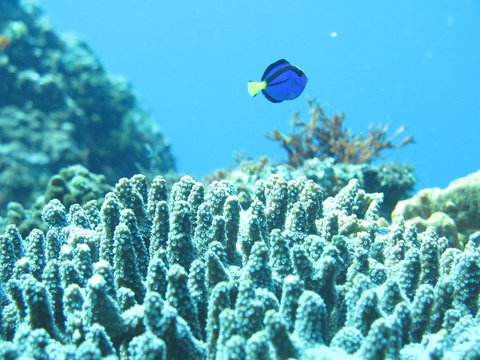 d0076952_18214288.jpg