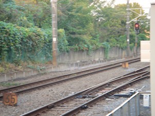 c0001653_03115943.jpg