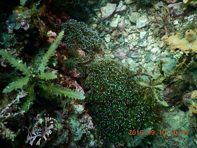 b0075059_10015915.jpg