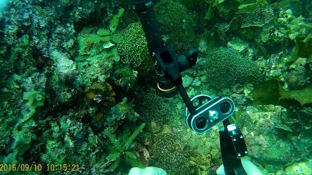 b0075059_10025406.jpg