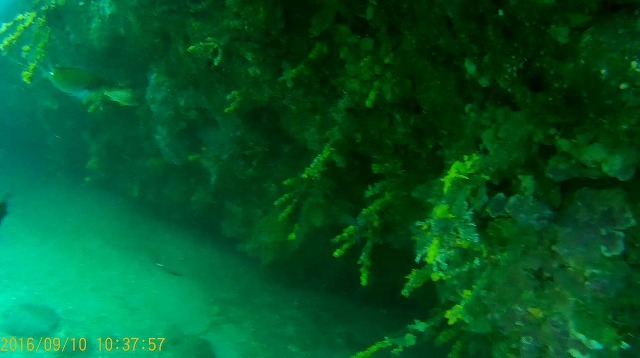 b0075059_10035876.jpg