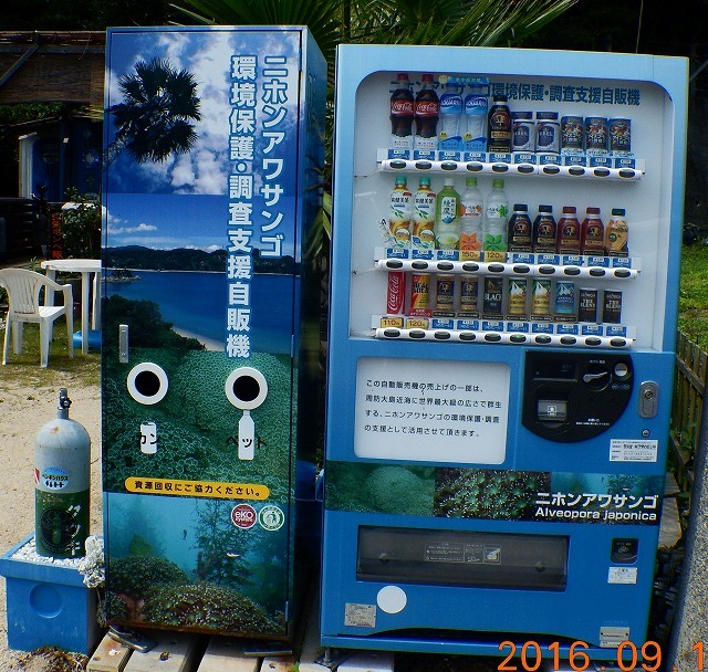 b0075059_10064931.jpg