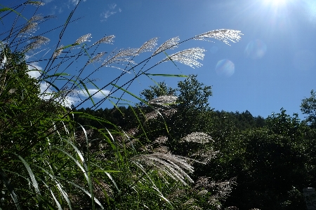 f0035962_10475694.jpg