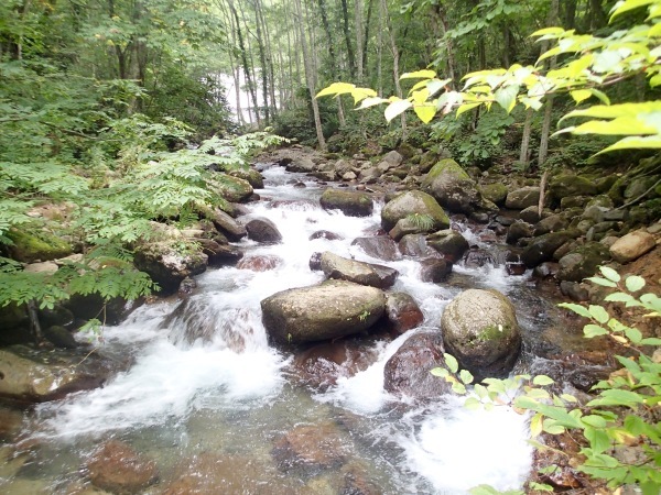 c0321967_21141528.jpeg