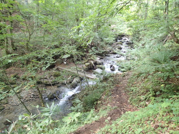 c0321967_21374839.jpeg