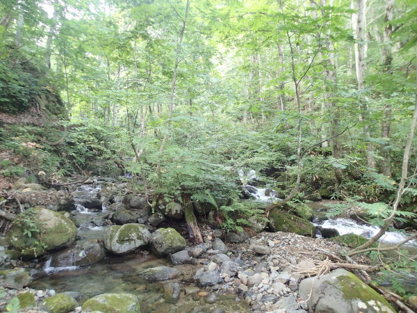 c0321967_21401980.jpeg