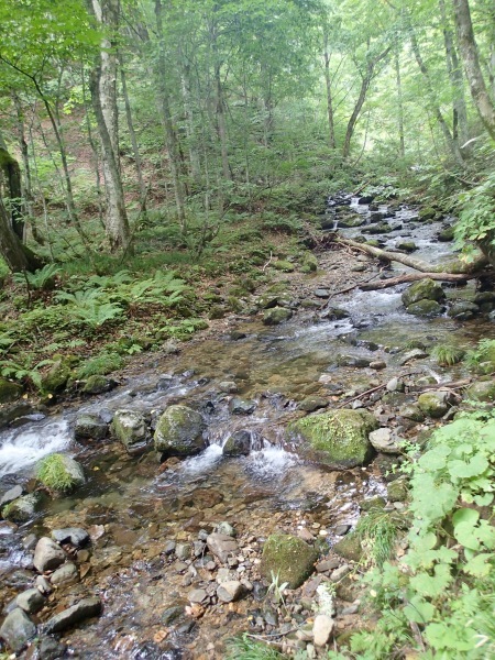 c0321967_22071835.jpeg