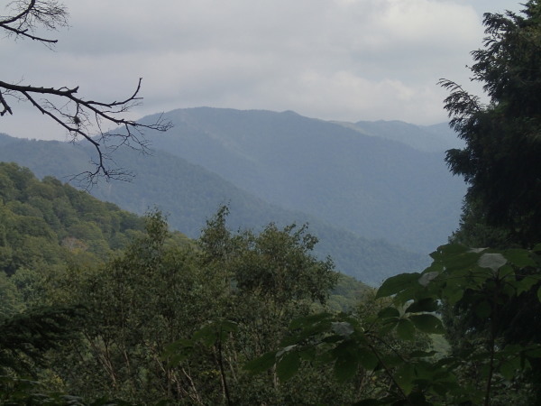 c0321967_22222614.jpeg
