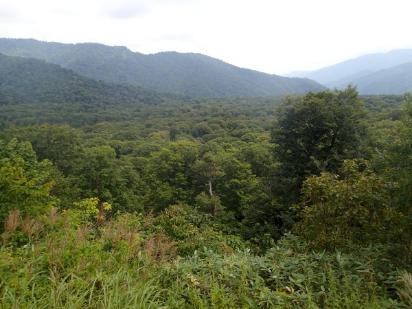 c0321967_22441658.jpeg
