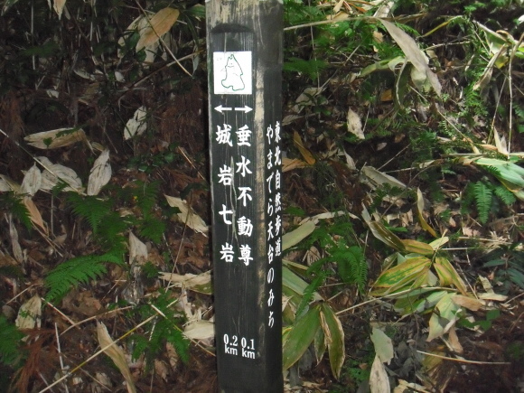 c0325468_19141117.jpg