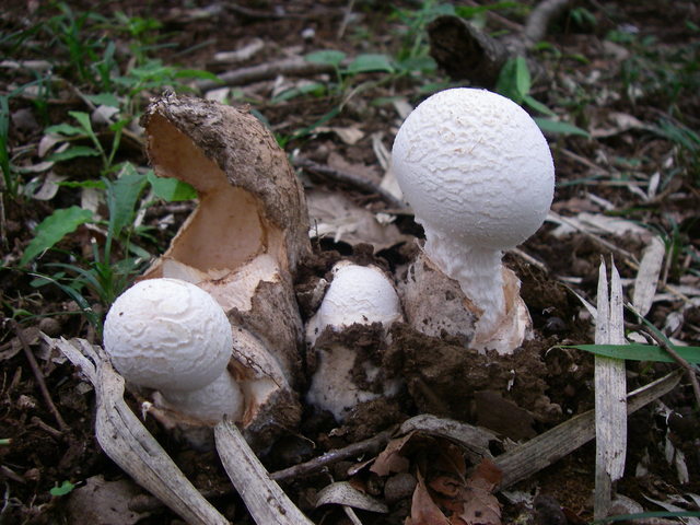 a0074069_23270555.jpg