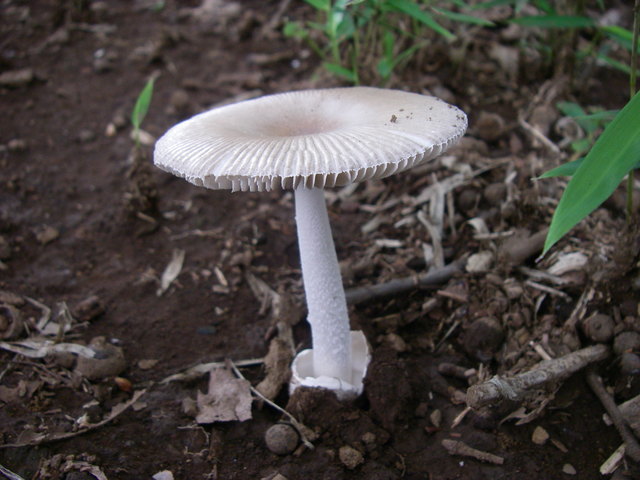 a0074069_23273672.jpg