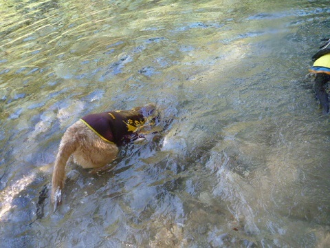 e0161972_08462591.jpg