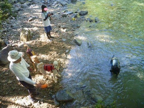 e0161972_08530052.jpg