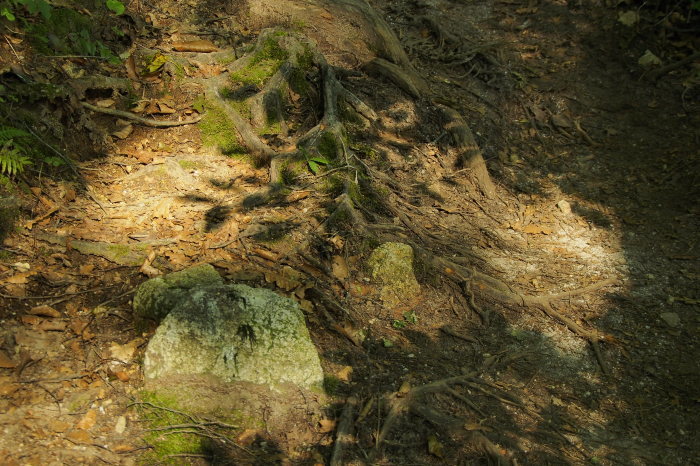 e0307372_15534385.jpg