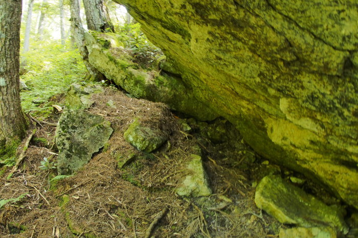 e0307372_16113849.jpg