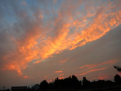 f0047773_20315351.jpg