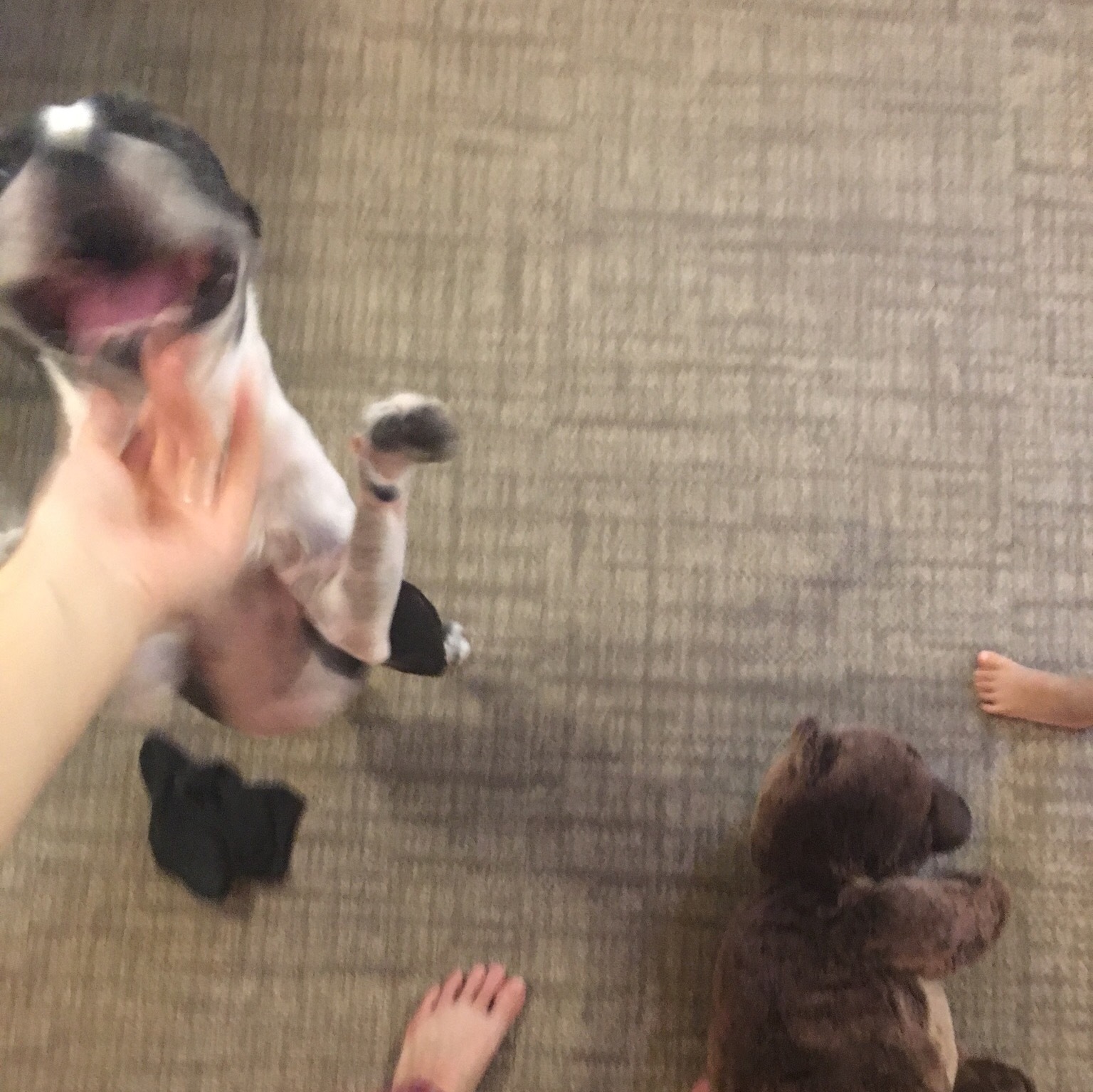 d0041575_20370985.jpeg