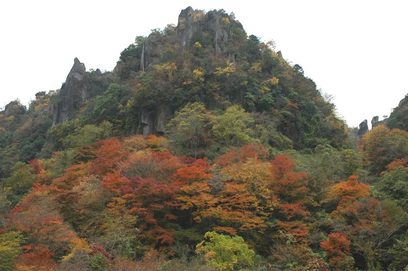 d0061579_16193591.jpg