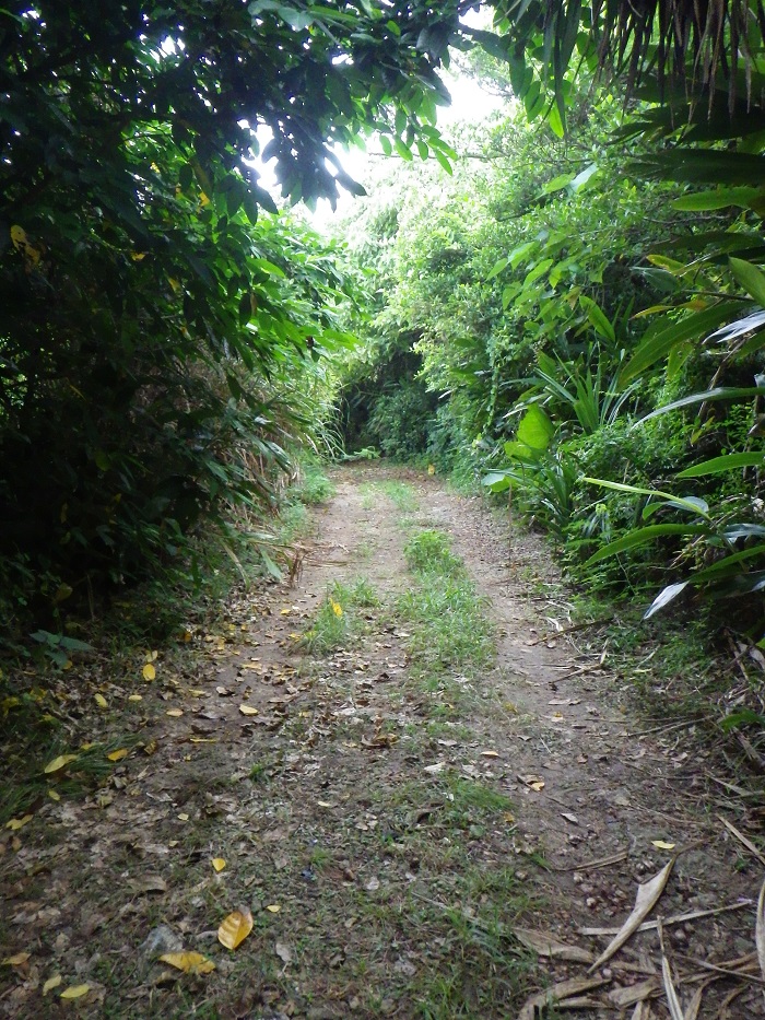 f0238779_1822484.jpg