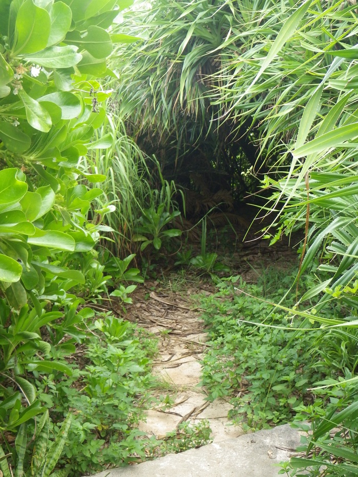 f0238779_18234050.jpg