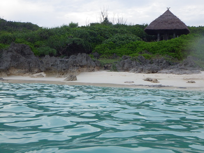 f0238779_18253026.jpg