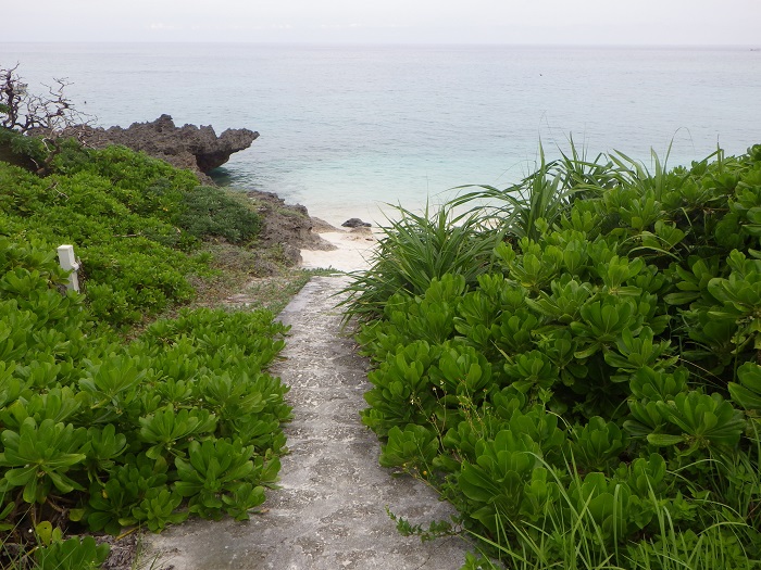 f0238779_18271566.jpg