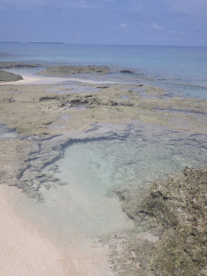 f0238779_18283953.jpg