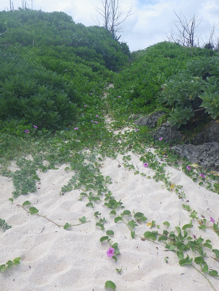 f0238779_18302164.jpg