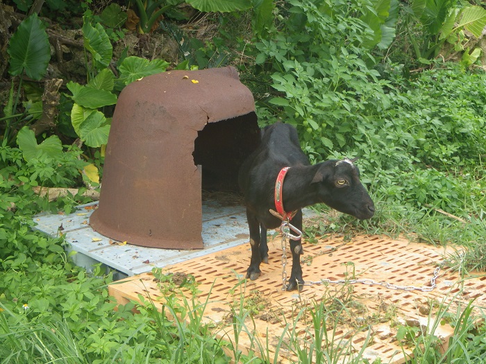 f0238779_183053100.jpg