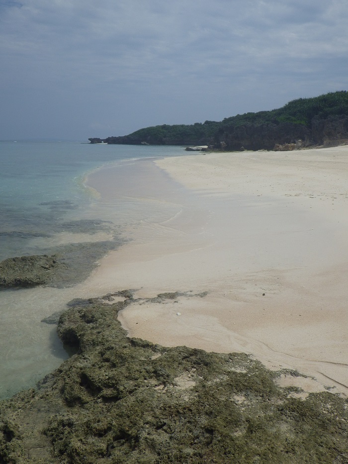 f0238779_18465237.jpg