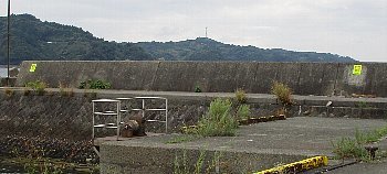 f0003283_15131850.jpg