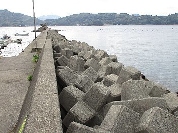 f0003283_15132950.jpg