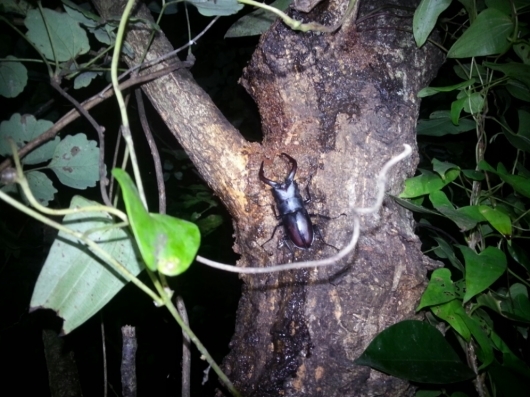 f0183484_21445088.jpg