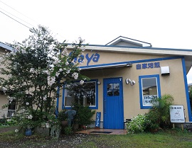 e0130185_1234477.jpg