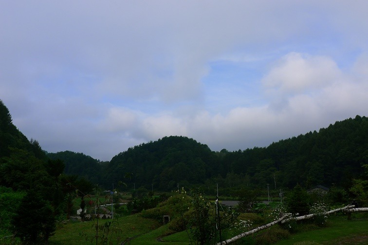 a0130586_842178.jpg