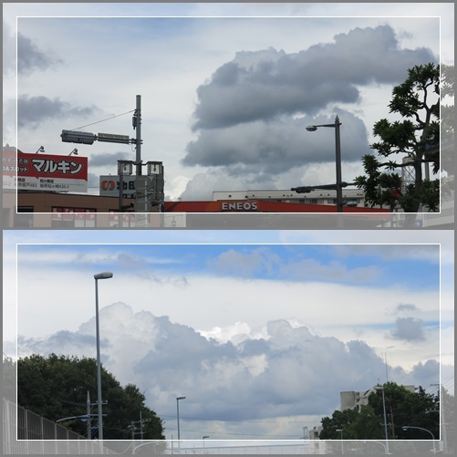 b0364186_19363738.jpg
