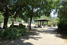 d0183387_15470596.jpg