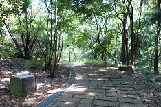 d0183387_16431315.jpg