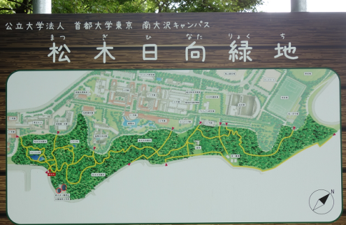 d0183387_16461658.png
