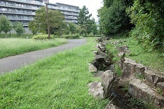 d0183387_18421495.jpg